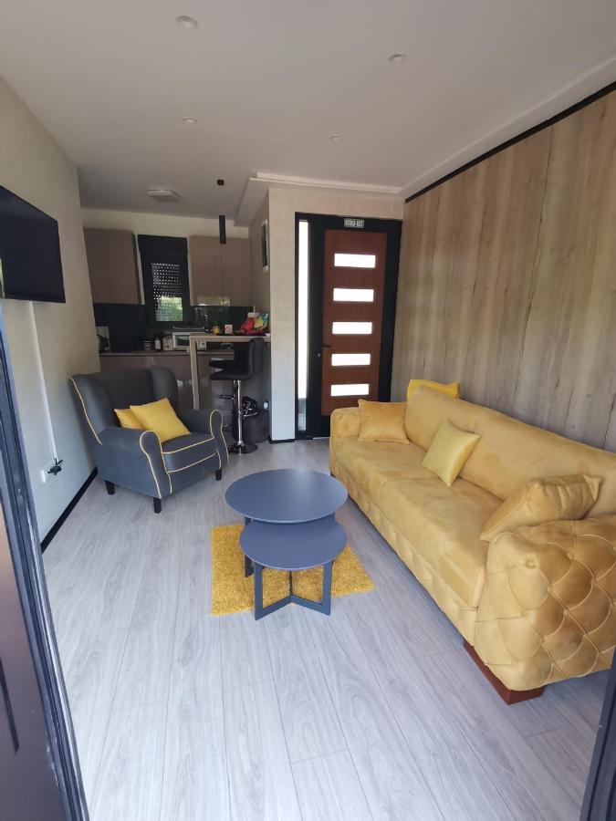 Ehinacea Apartment Rtanj Exterior foto