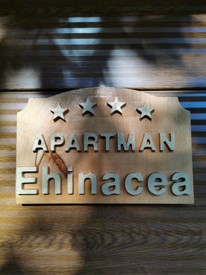 Ehinacea Apartment Rtanj Exterior foto
